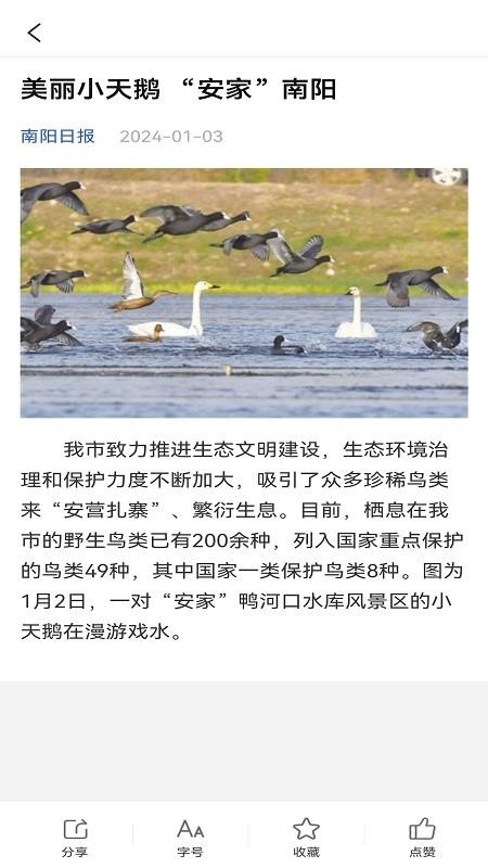南阳政务手机版v1.0 4
