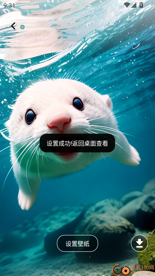 快速对答案最新版