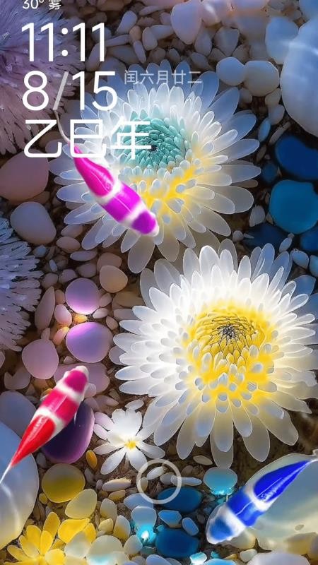 荷花锦鲤壁纸最新版v1.0.13(3)
