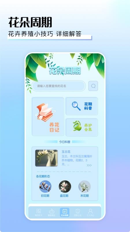 摆花齐放官网版v1.4(2)