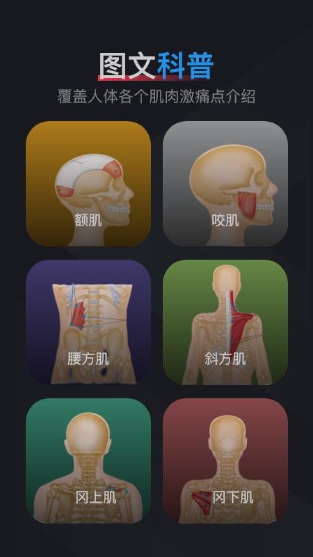 肌肉激痛点图谱免费版v1.2 3