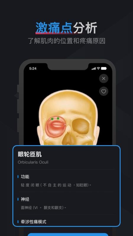肌肉激痛点图谱免费版v1.2 1