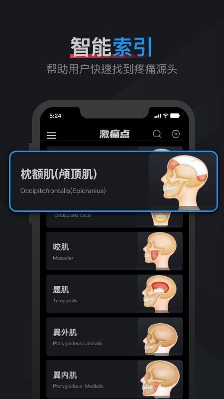 肌肉激痛点图谱免费版