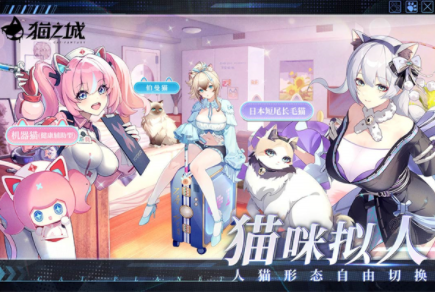 猫之城国际服v2.8.34 2