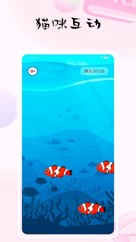 猫捉鱼手机版v1.0.0(1)