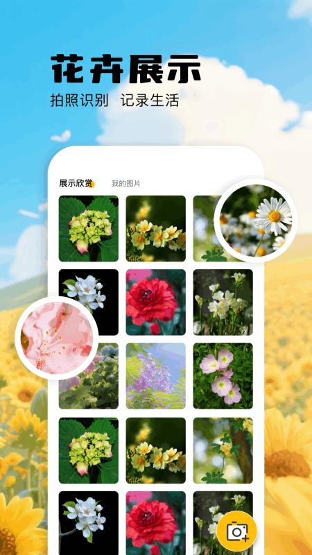 扫描识万物免费版v1.1(1)