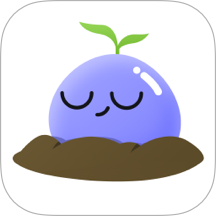 莫听最新版 v1.0.1
