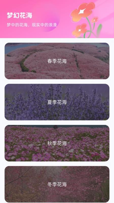 花海寻梦官方版本