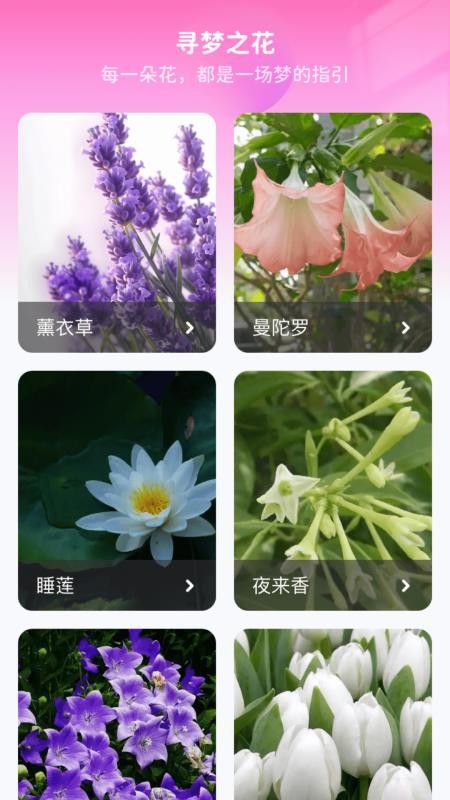 花海寻梦官方版本v1.0.3.5532591074913 2