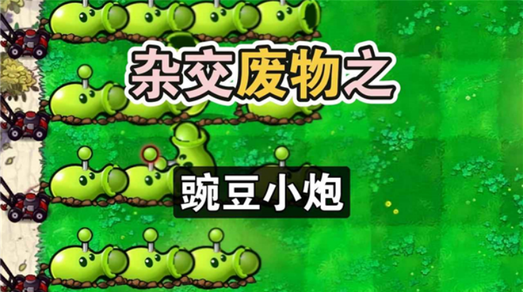 废物大战僵尸游戏v1.0 1