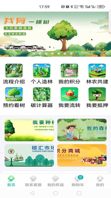 大象森林官方版v1.0(5)