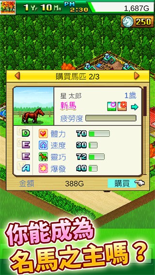 赛马牧场物语游戏v3.00(3)
