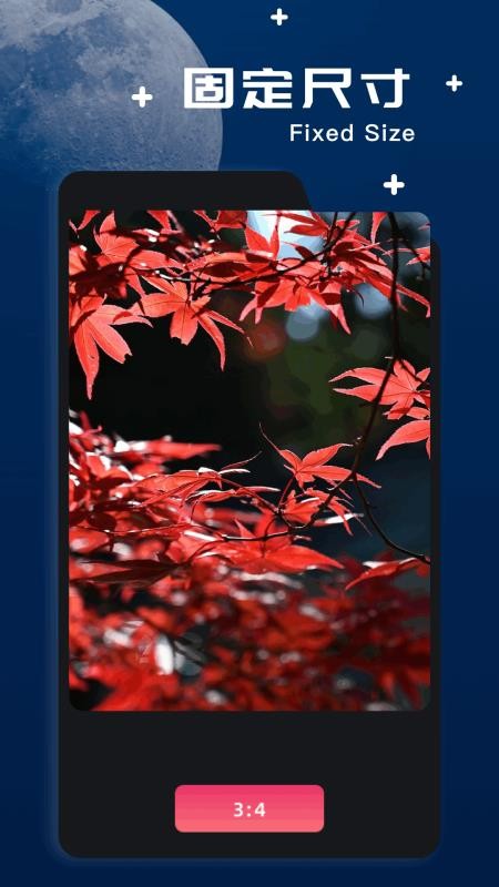 amaze文件管理器安卓版