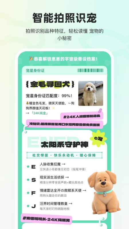 宠拍档官方版v1.0.0 2
