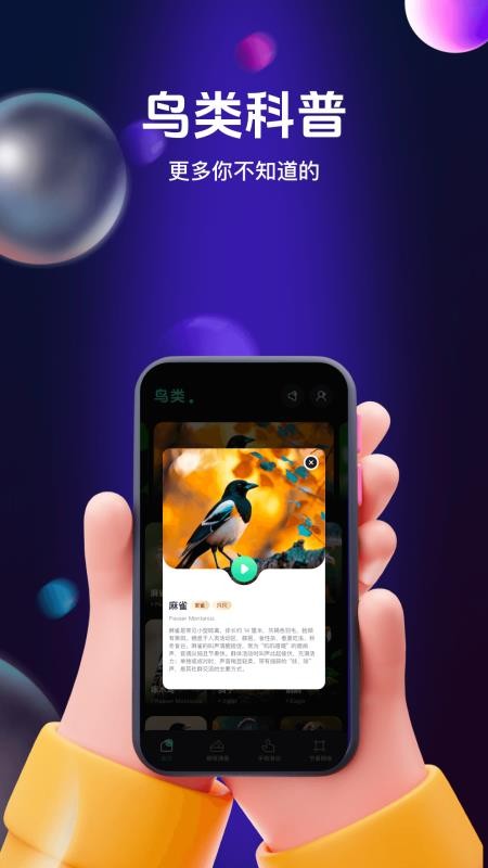 鸟儿摇鸣曲官网版vH4.5(2)