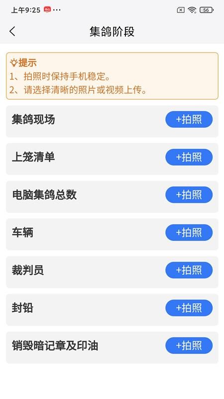 鸽派监赛版免费版