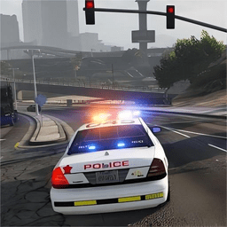 真实警车驾驶模拟器真实版游戏