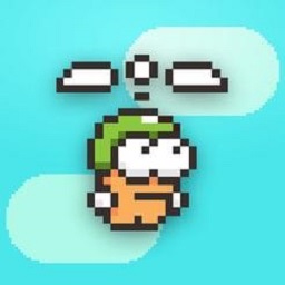 swingcopters°