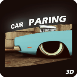 ͣ3DϷ (Real Parking 3D)
