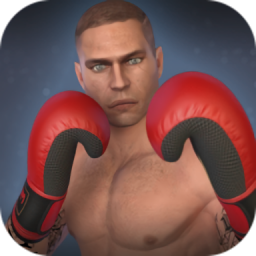 ȭ񶷳ͻֻ(Boxing Fighting Clash)