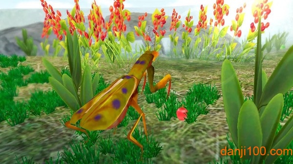 螳螂模拟器游戏(1)