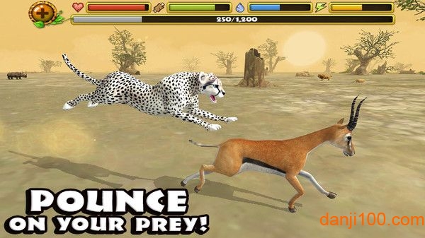 终极猎豹模拟器中文版(Cheetah Sim)(2)