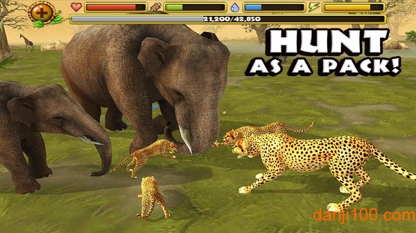 终极猎豹模拟器游戏下载