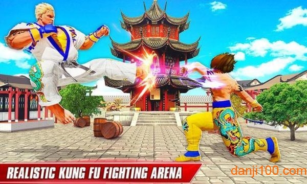 ֵ°(Kung Fu Fighting) v21 ׿ 0