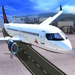 ɻֻͣ(Aeroplane Parking 3D)