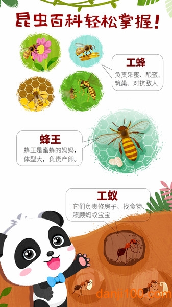 ʿСϷ(Marvelous Insects) v9.78.00.00 ׿2