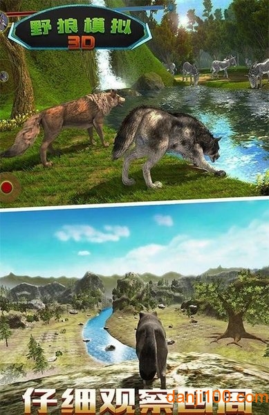 野狼模拟3d游戏下载