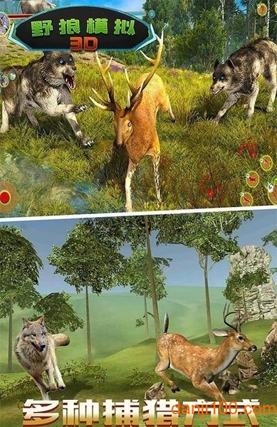 野狼模拟器3D中文版(2)