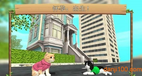 猫咪生存模拟器中文破解版v1.9 安卓无限金币版 2