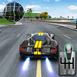 加速驾驶模拟器游戏(Drive for Speed Simulator)