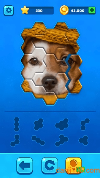 Hexa Jigsaw Puzzle手游v1.0 3