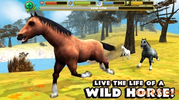 野马模拟器游戏(Horse Sim)(2)