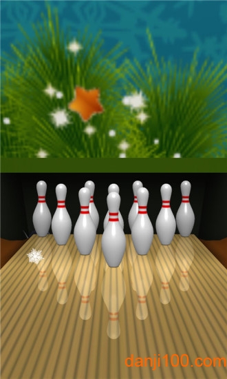3dİ(3D Bowling) v3.2 ׿2