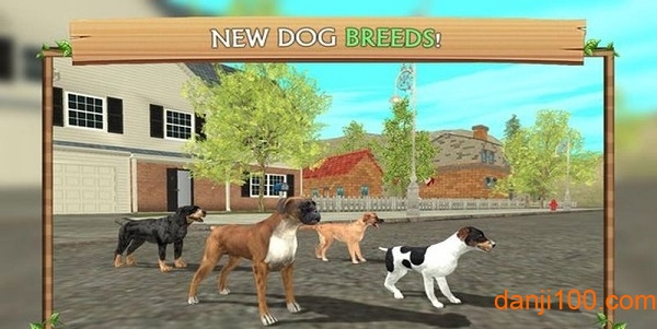 模拟小狗生存中文版(Dog Sim)(2)