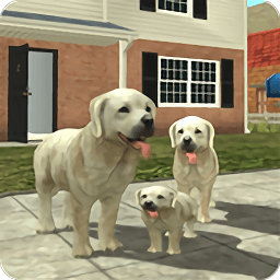 模拟小狗生存中文版(Dog Sim)