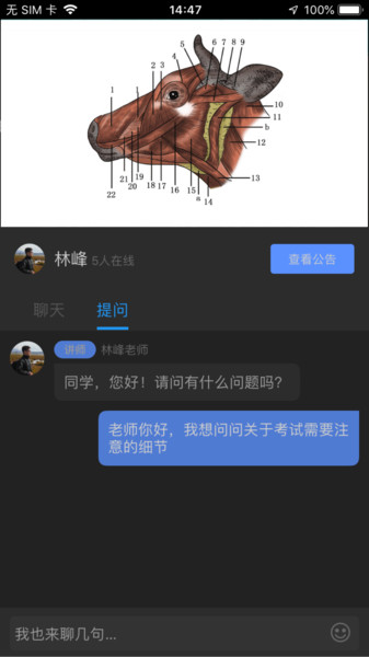 兽课网软件