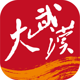 大武漢app