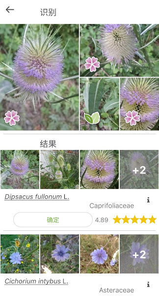 PlantNet植物识别Appv3.14.3 安卓版 1