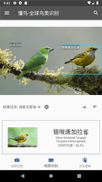 懂鳥全球appv0.0.10 安卓最新版 1