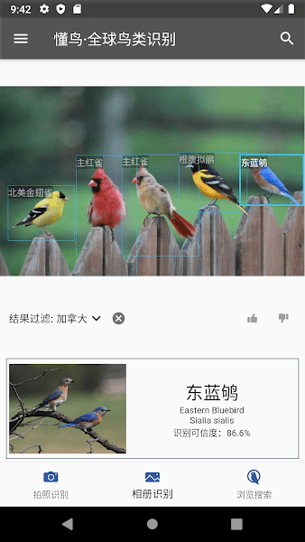 懂鳥全球appv0.0.10 安卓最新版 2