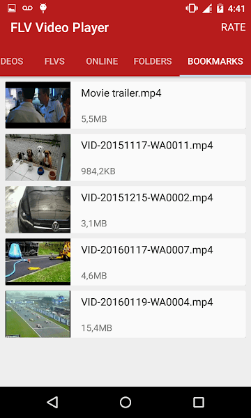 flv视频播放器(FLV Video Player)