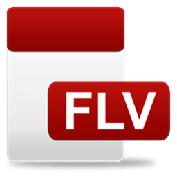flv视频播放器(FLV Video Player)