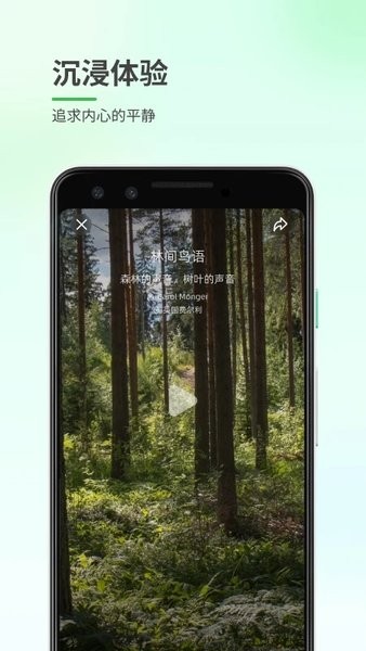 森林白噪音app(1)
