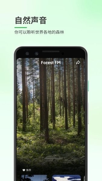 森林白噪音app(2)