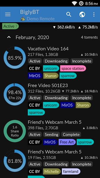 BiglyBT手机版v1.3.2.0 官方版 3