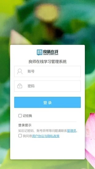 良师云课堂appv1.0.6 安卓版 3